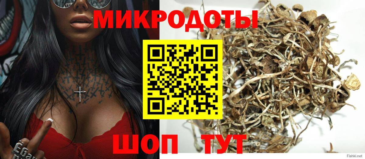 Галлюциногенные грибы Magic Shrooms  Вход с VPN  Зеленогорск 